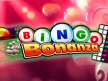 Bingo Bonanza