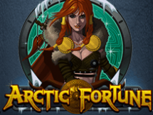 Arctic Fortune